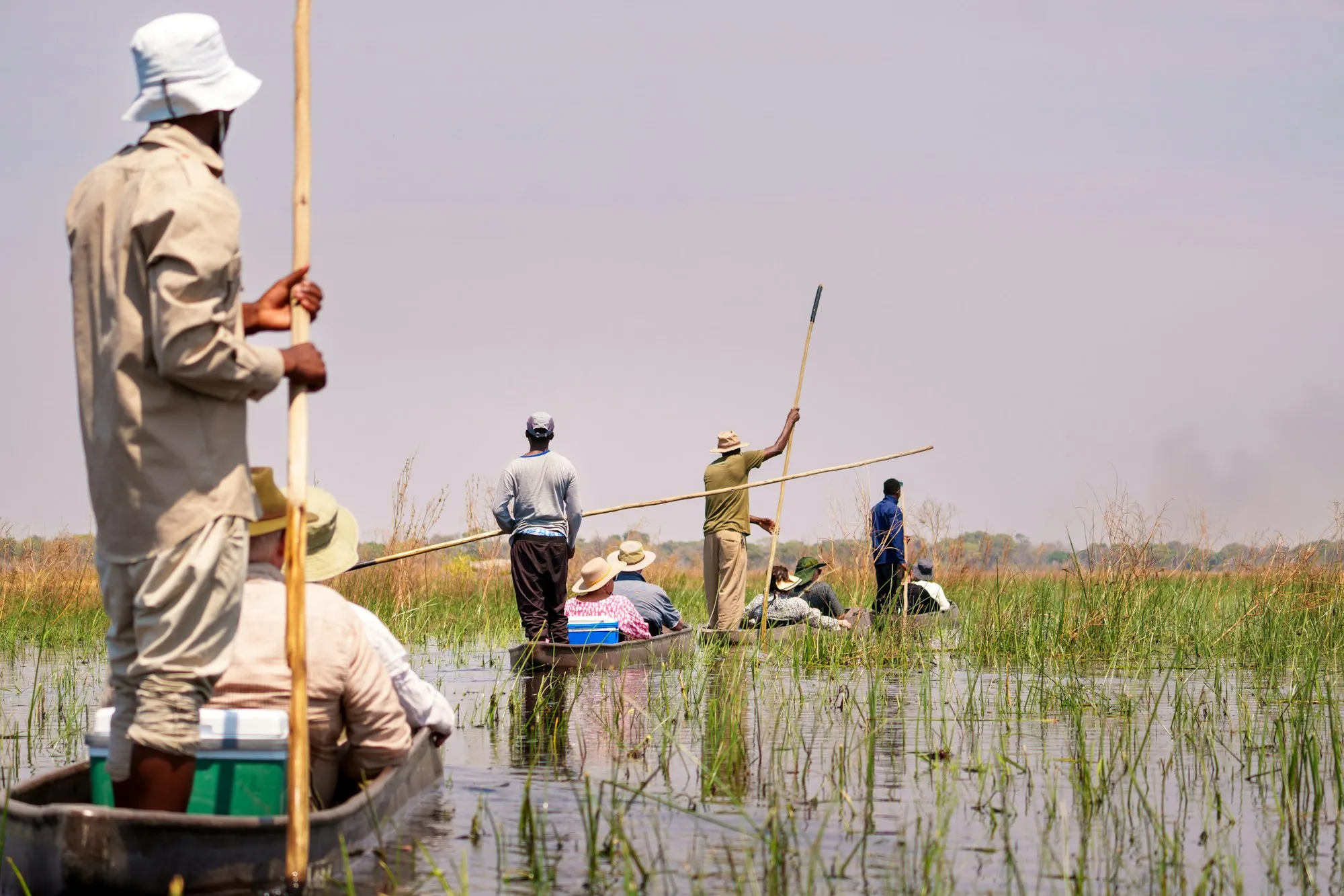Guides faisant avancer des mokoros à la perche dans les eaux du delta de l'Okavango